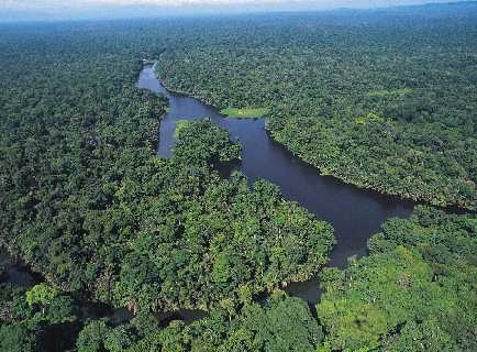 Overnight Tours to the Tortuguero Canals in Costa Rica